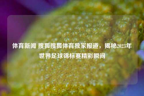 体育新闻 搜狐搜狐体育独家报道，揭秘2023年世界足球锦标赛精彩瞬间
