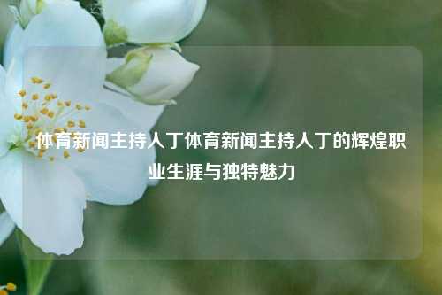 体育新闻主持人丁体育新闻主持人丁的辉煌职业生涯与独特魅力