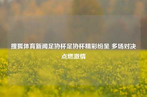 搜狐体育新闻足协杯足协杯精彩纷呈 多场对决点燃激情