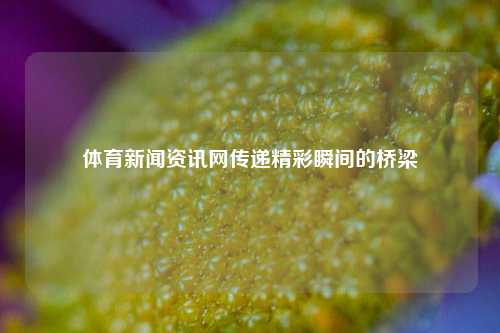 体育新闻资讯网传递精彩瞬间的桥梁