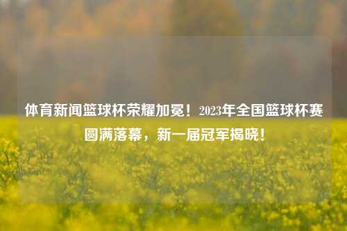 体育新闻篮球杯荣耀加冕！2023年全国篮球杯赛圆满落幕，新一届冠军揭晓！