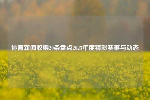 体育新闻收集20条盘点2023年度精彩赛事与动态