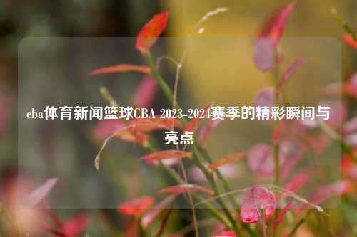 cba体育新闻篮球CBA 2023-2024赛季的精彩瞬间与亮点