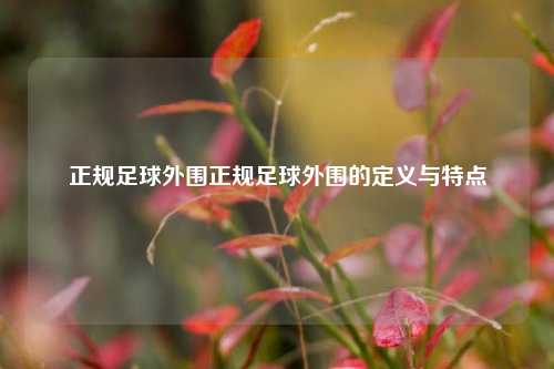 正规足球外围正规足球外围的定义与特点