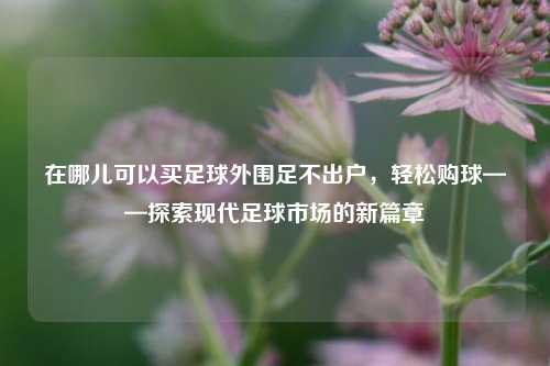 在哪儿可以买足球外围足不出户，轻松购球——探索现代足球市场的新篇章