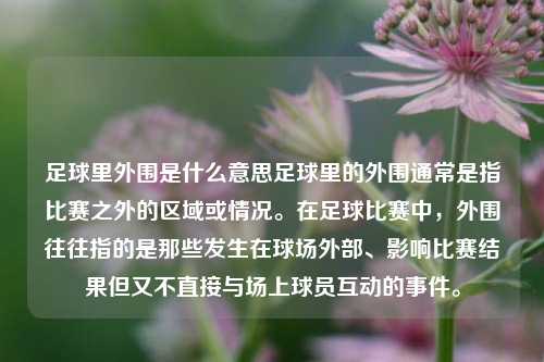 足球里外围是什么意思足球里的外围通常是指比赛之外的区域或情况。在足球比赛中，外围往往指的是那些发生在球场外部、影响比赛结果但又不直接与场上球员互动的事件。