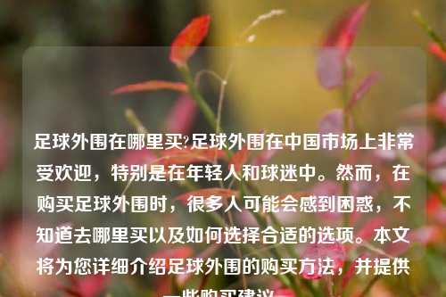 足球外围在哪里买?足球外围在中国市场上非常受欢迎，特别是在年轻人和球迷中。然而，在购买足球外围时，很多人可能会感到困惑，不知道去哪里买以及如何选择合适的选项。本文将为您详细介绍足球外围的购买方法，并提供一些购买建议。