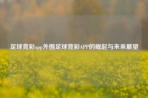 足球竞彩app外围足球竞彩APP的崛起与未来展望