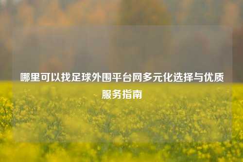哪里可以找足球外围平台网多元化选择与优质服务指南