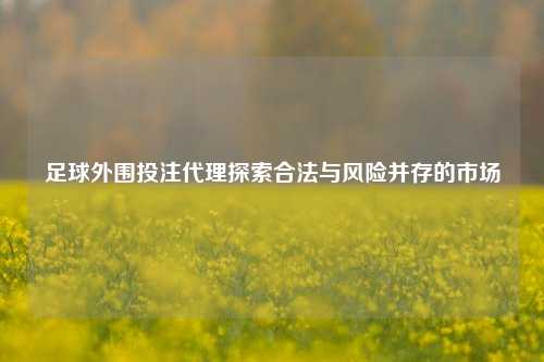 足球外围投注代理探索合法与风险并存的市场