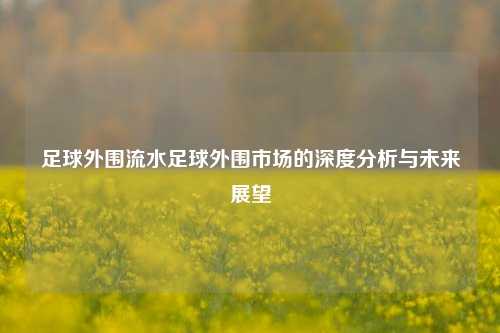 足球外围流水足球外围市场的深度分析与未来展望