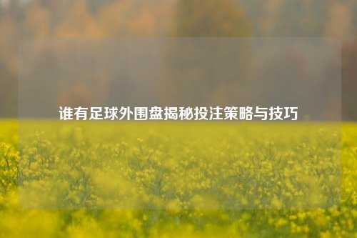 谁有足球外围盘揭秘投注策略与技巧