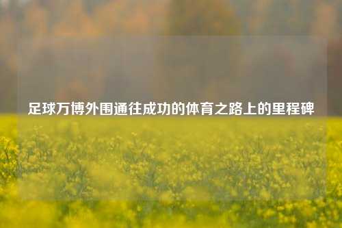 足球万博外围通往成功的体育之路上的里程碑