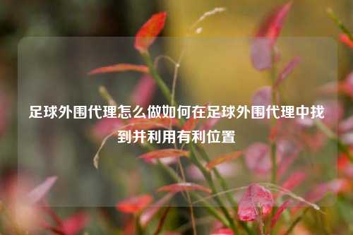 足球外围代理怎么做如何在足球外围代理中找到并利用有利位置