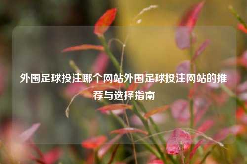 外围足球投注哪个网站外围足球投注网站的推荐与选择指南
