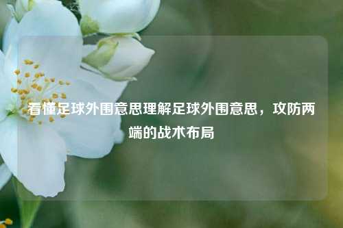 看懂足球外围意思理解足球外围意思，攻防两端的战术布局