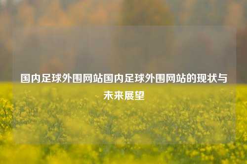 国内足球外围网站国内足球外围网站的现状与未来展望