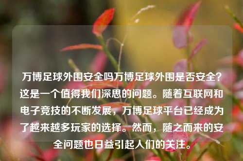 万博足球外围安全吗万博足球外围是否安全？这是一个值得我们深思的问题。随着互联网和电子竞技的不断发展，万博足球平台已经成为了越来越多玩家的选择。然而，随之而来的安全问题也日益引起人们的关注。