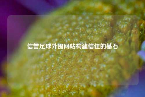 信誉足球外围网站构建信任的基石