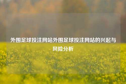 外围足球投注网站外围足球投注网站的兴起与风险分析