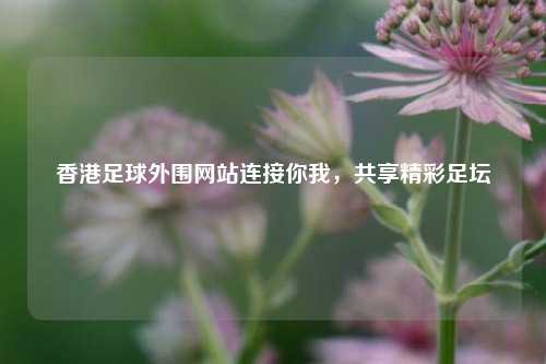 香港足球外围网站连接你我，共享精彩足坛
