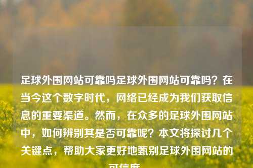 足球外围网站可靠吗足球外围网站可靠吗？在当今这个数字时代，网络已经成为我们获取信息的重要渠道。然而，在众多的足球外围网站中，如何辨别其是否可靠呢？本文将探讨几个关键点，帮助大家更好地甄别足球外围网站的可信度。