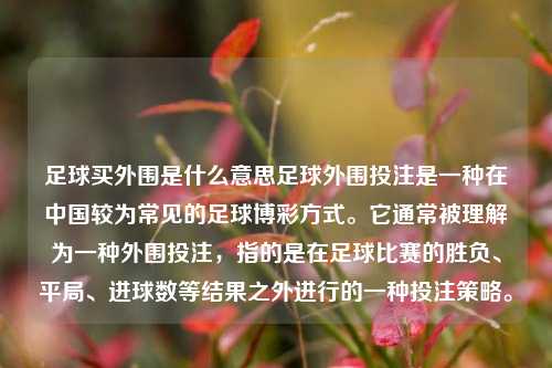 足球买外围是什么意思足球外围投注是一种在中国较为常见的足球博彩方式。它通常被理解为一种外围投注，指的是在足球比赛的胜负、平局、进球数等结果之外进行的一种投注策略。