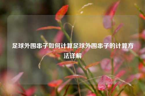 足球外围串子如何计算足球外围串子的计算方法详解