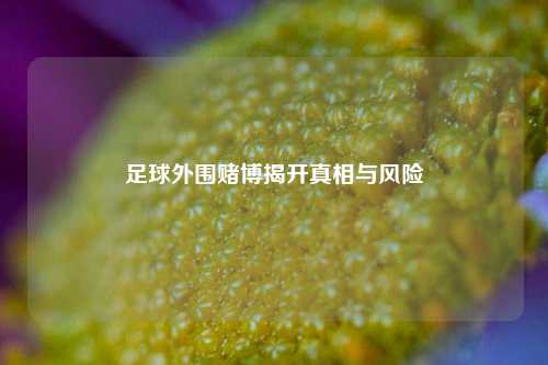 足球外围赌博揭开真相与风险