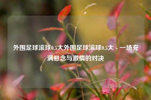 外围足球滚球0.5大外围足球滚球0.5大 - 一场充满悬念与激情的对决