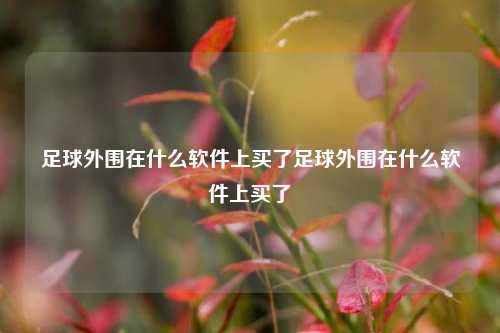 足球外围在什么软件上买了足球外围在什么软件上买了