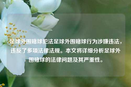足球外围赌球犯法足球外围赌球行为涉嫌违法，违反了多项法律法规。本文将详细分析足球外围赌球的法律问题及其严重性。