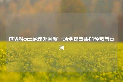 世界杯2022足球外围赛一场全球盛事的预热与高潮
