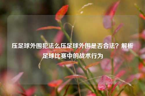 压足球外围犯法么压足球外围是否合法？解析足球比赛中的战术行为
