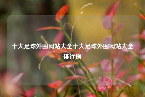 十大足球外围网站大全十大足球外围网站大全排行榜