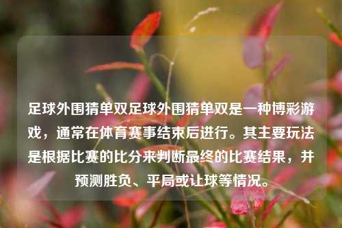 足球外围猜单双足球外围猜单双是一种博彩游戏，通常在体育赛事结束后进行。其主要玩法是根据比赛的比分来判断最终的比赛结果，并预测胜负、平局或让球等情况。