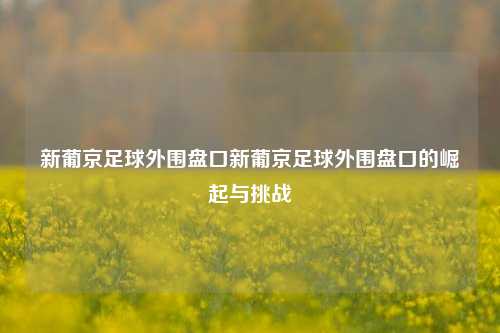 新葡京足球外围盘口新葡京足球外围盘口的崛起与挑战