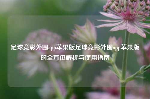 足球竞彩外围app苹果版足球竞彩外围app苹果版的全方位解析与使用指南