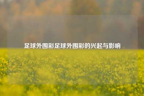 足球外围彩足球外围彩的兴起与影响