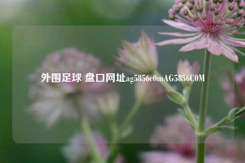 外围足球 盘口网址ag5856c0mAG5856C0M