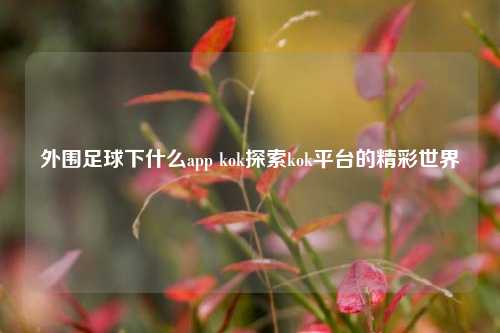 外围足球下什么app kok探索kok平台的精彩世界