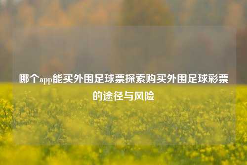 哪个app能买外围足球票探索购买外围足球彩票的途径与风险