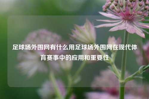 足球场外围网有什么用足球场外围网在现代体育赛事中的应用和重要性
