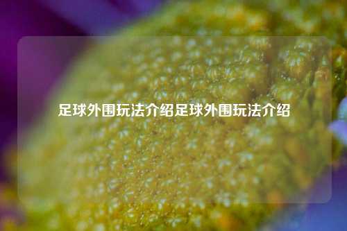 足球外围玩法介绍足球外围玩法介绍