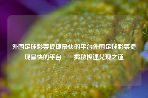 外围足球彩票提现最快的平台外围足球彩票提现最快的平台——揭秘极速兑现之道