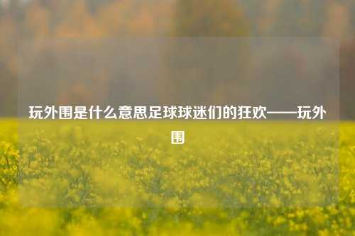 玩外围是什么意思足球球迷们的狂欢——玩外围