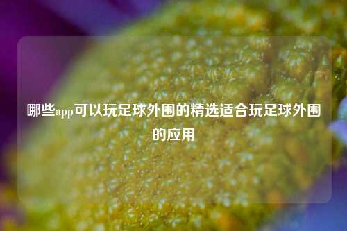 哪些app可以玩足球外围的精选适合玩足球外围的应用