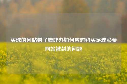 买球的网站封了钱咋办如何应对购买足球彩票网站被封的问题