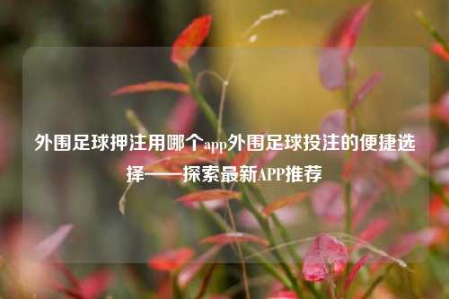外围足球押注用哪个app外围足球投注的便捷选择——探索最新APP推荐