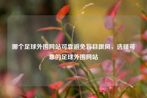 哪个足球外围网站可靠避免盲目跟风，选择可靠的足球外围网站